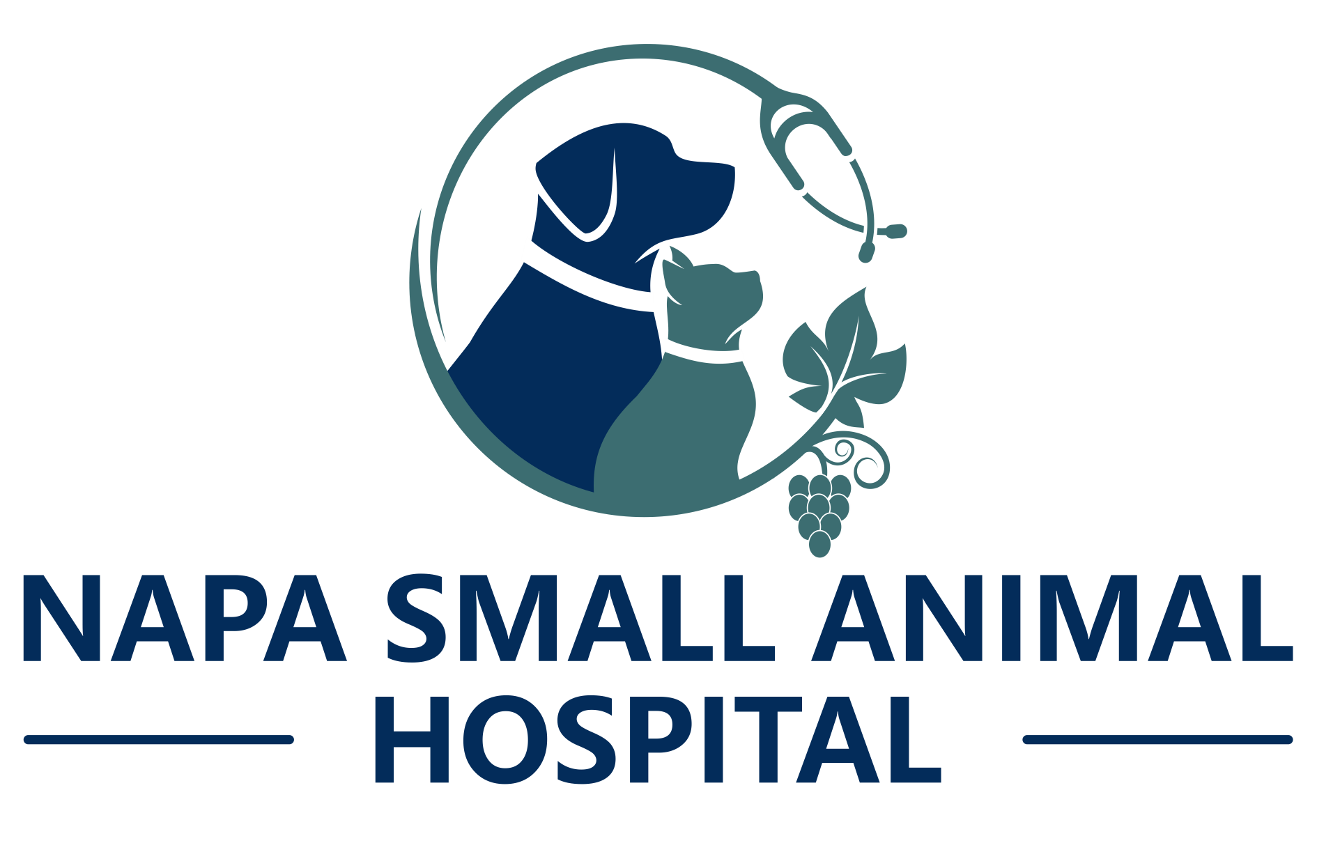 Napa Small Animal Hospital